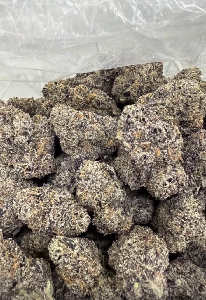 SONIC BUDS tweet media