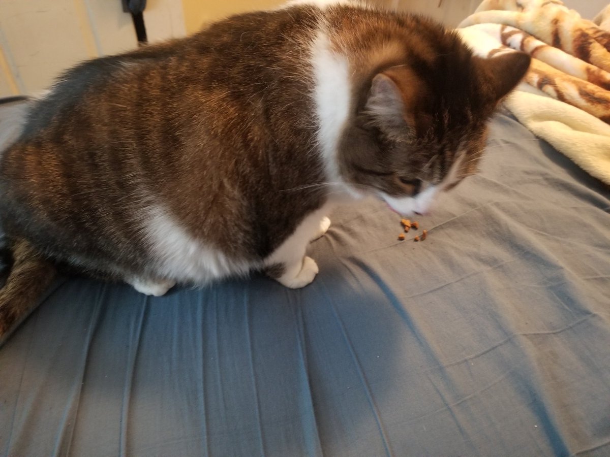 bigheadass tweet media