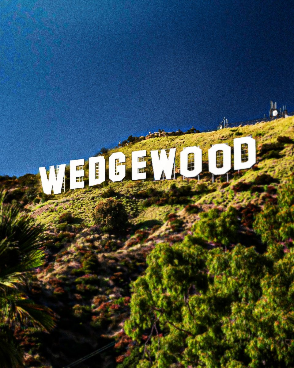 Colorado Avalanche tweet media