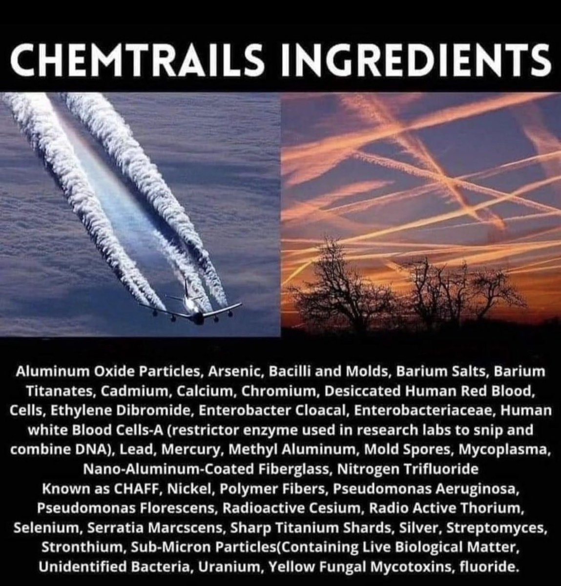 Daily News Iran tweet media