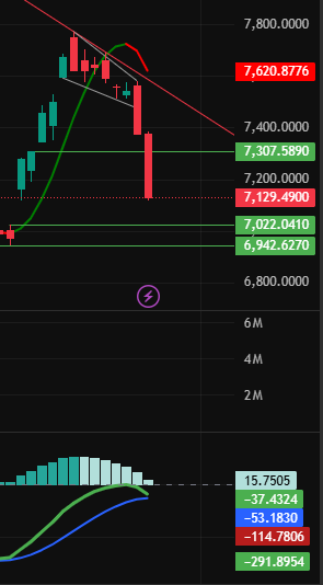 Trader Garis Meme tweet media