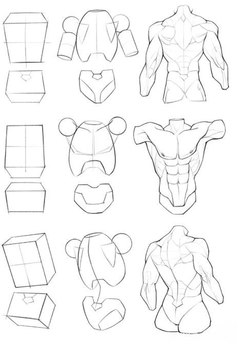 musycmotyon's tweet photo. Male torso from basic boxes to full muscle anatomy ✨— front, back and side 💪📐 - save it 👇 https://t.co/Dy0TtGHd0U