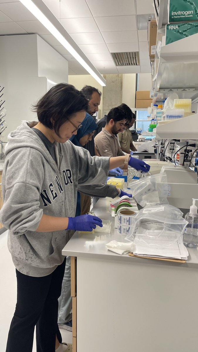 microbiome_lab's tweet photo. After a thorough lab clean-up 🧼✨, it’s time for teamwork - refilling tip boxes and getting everything ready for the next experiments 🧪  Every small step keeps the research moving forward! https://t.co/MJbdzVf1kH