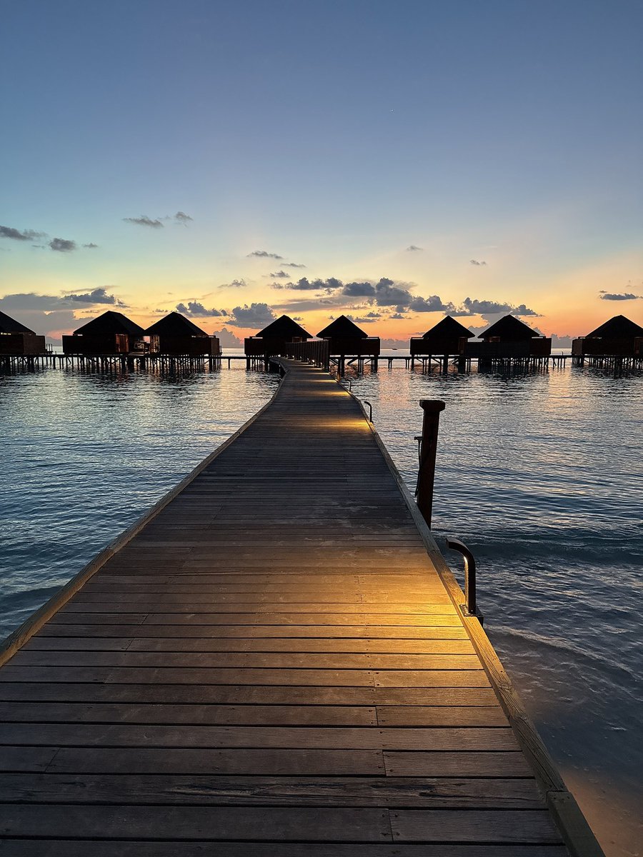 우드미 tweet media