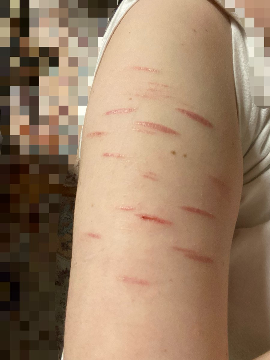 ʲʰᵒᵐⁱˢ tweet media