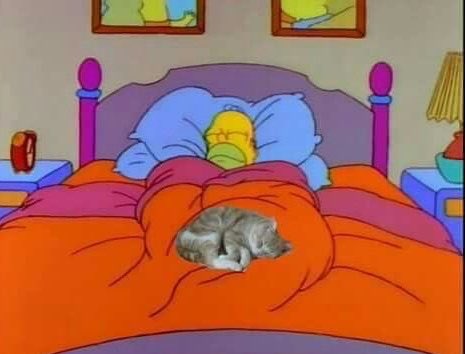 q lindo escuchar el ruido del viento, la vida es más feliz los días de frío, buenas noches