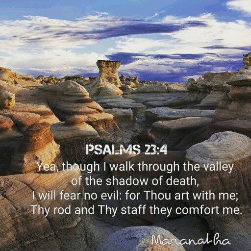 MaryfromMarin's tweet image. .#ccot #tcot #valley #shadow #death #nofear #God #Jesus #Bible #Psalms