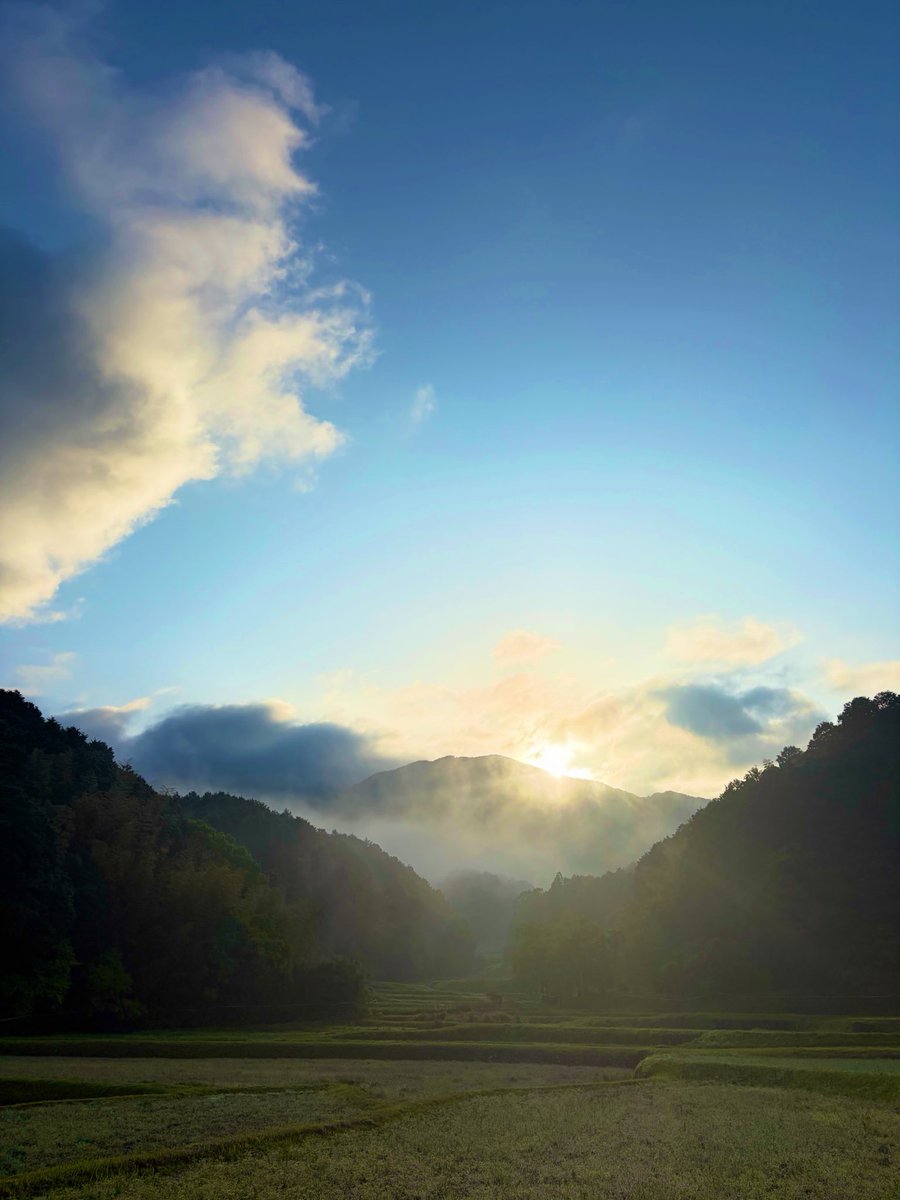 ヨオコ⚯̫ ◂Ⓘ▸迷い仔の黒ネコ🐾 tweet media