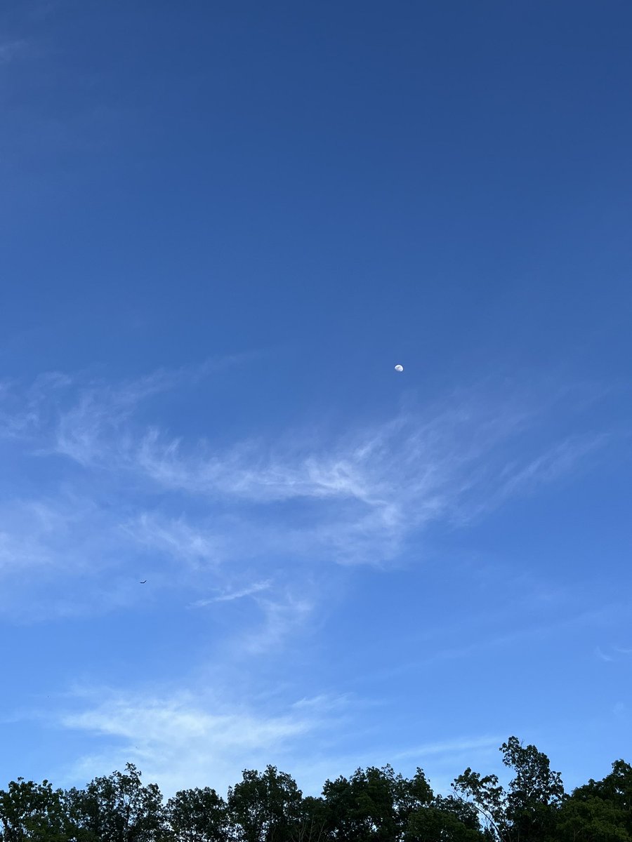 melfromin's tweet image. #sundaysky 🌛

What a beautiful day it was! 🌤️🌳

#sundayvibes #SundaySunset #sunday #beautifulday #outdoorphotography #naturevibes #naturephotographyvibes #photography #photographers