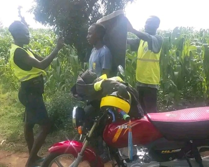 missedcall🌿 tweet media