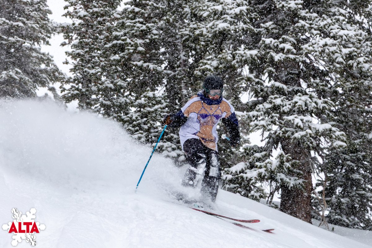 Alta Ski Area tweet media
