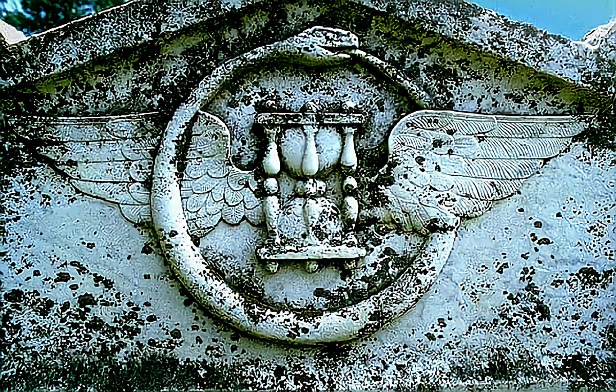 𝐏𝐇𝐎𝐄𝐍𝐈𝐗🐦‍🔥𝐃𝐑𝐀𝐆𝐎𝐍 tweet media