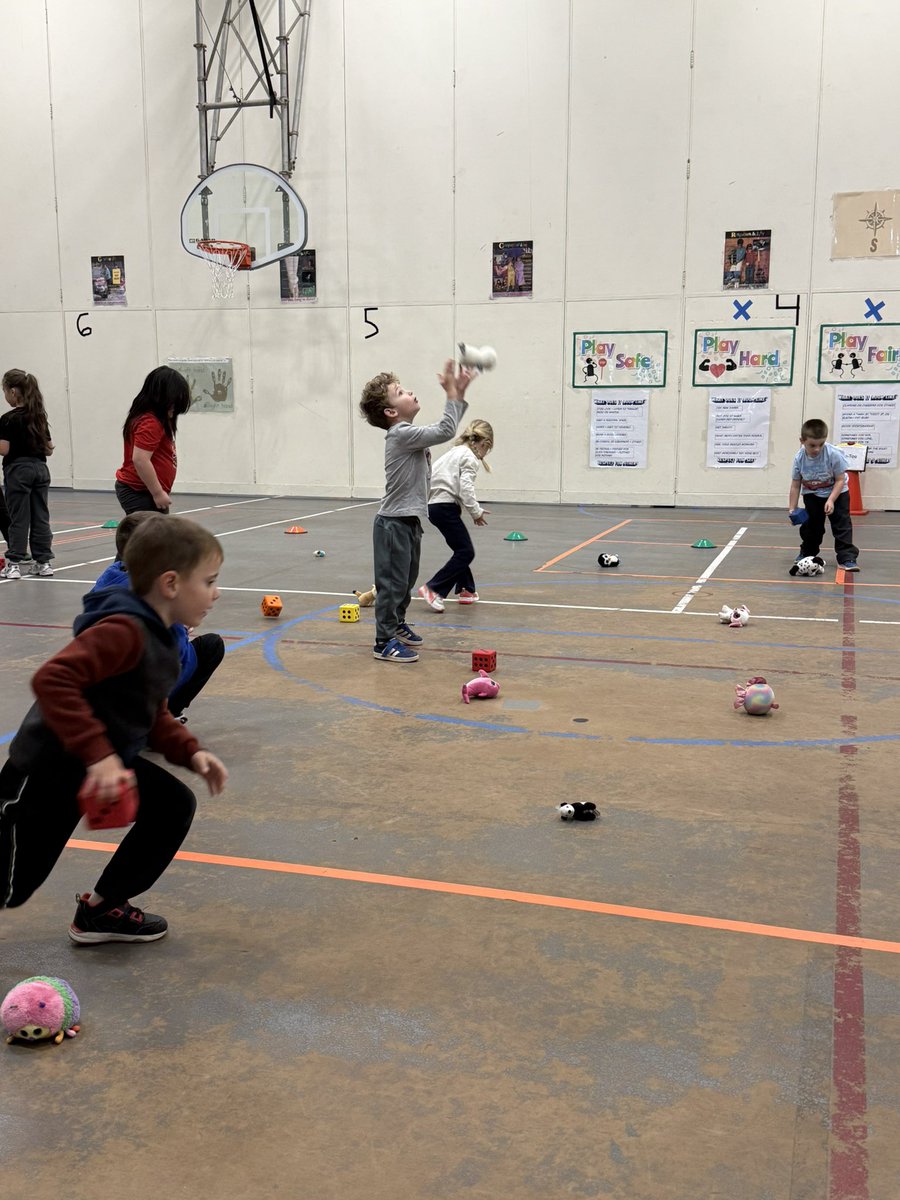 donntobin's tweet photo. K-2:  Beanie Boo Animal Toss.  #physed #ElemPE https://t.co/TRQ2Cp16kl