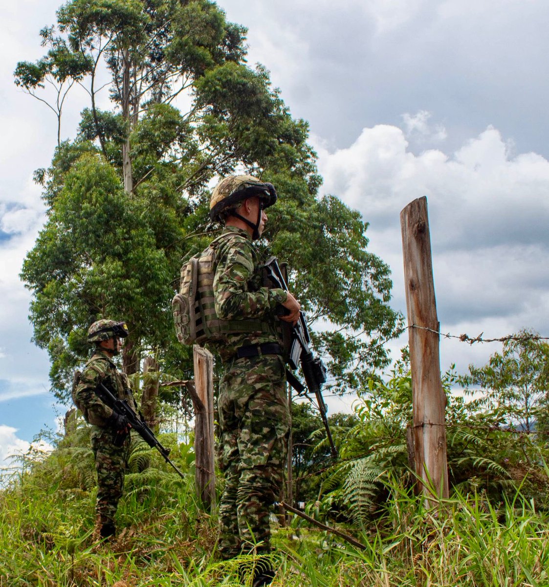 Mindefensa tweet media