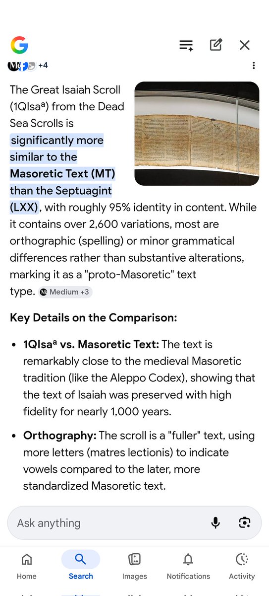 noah survived tweet media