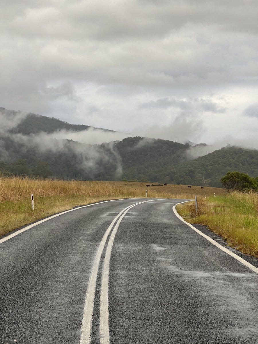 Sree Majumder tweet media