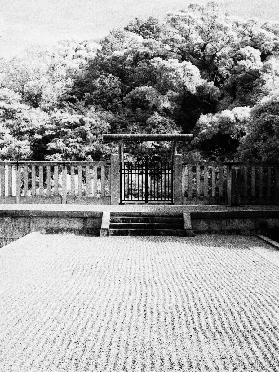shigeclass's tweet image. Fragments of a day
ヒシアゲ古墳
Olympus Pen D
Rollei Infrared 400s
IR720nm
#streetphotography #filmphotography #blackandwhitephotography  #ハーフカメラ