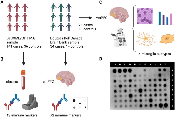 tendilla_lab's tweet photo. Comprehensive analysis of cytokines in depression: independent data from patient plasma and post-mortem ventromedial prefrontal cortex | @BrainBehavImm 
https://t.co/pGqROgYwA9 https://t.co/NPUgObSnts