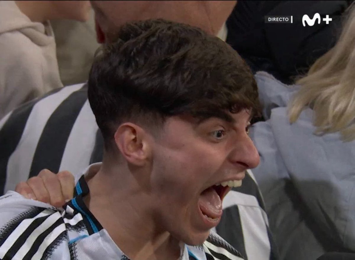 Esto es Newcastle tweet media