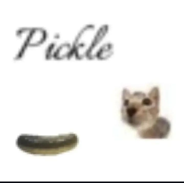 𝘍𝘭𝘶𝘧𝘧𝘺 🐟🐈 tweet media