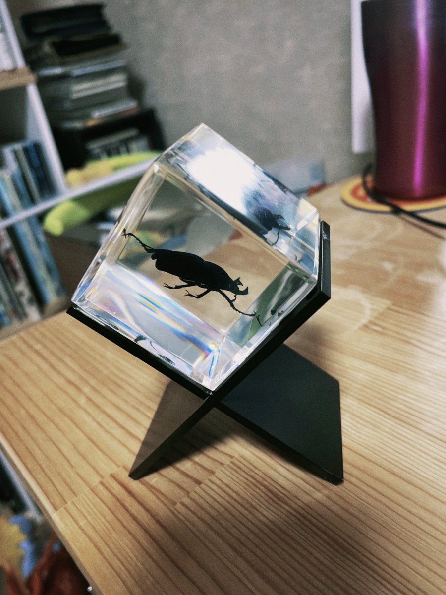 ニサラ tweet media