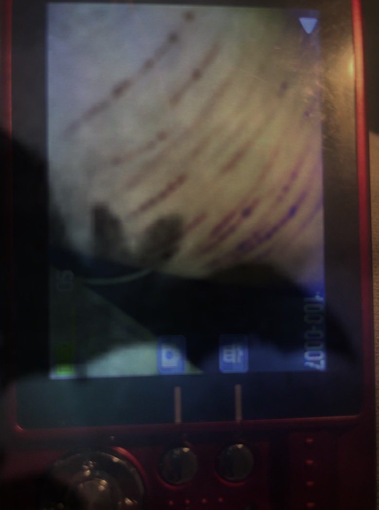 dogturdz69_'s tweet image. lil ol scratcs 

#shtwt #shed #moothunt〃・