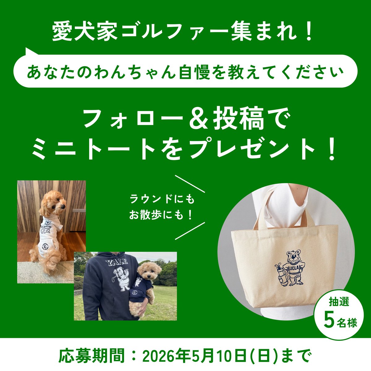 GDO【公式】 tweet media