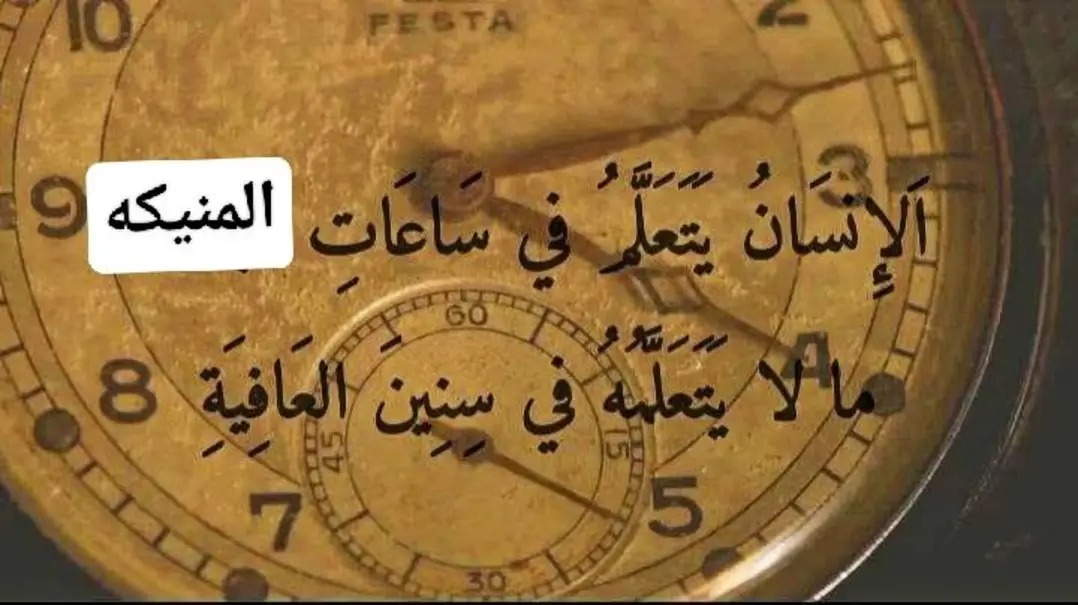 Cats mommy tweet media