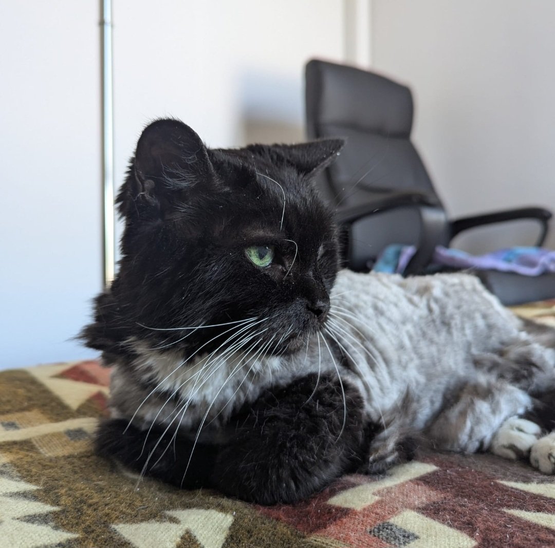 ANABELLE CHACON tweet media