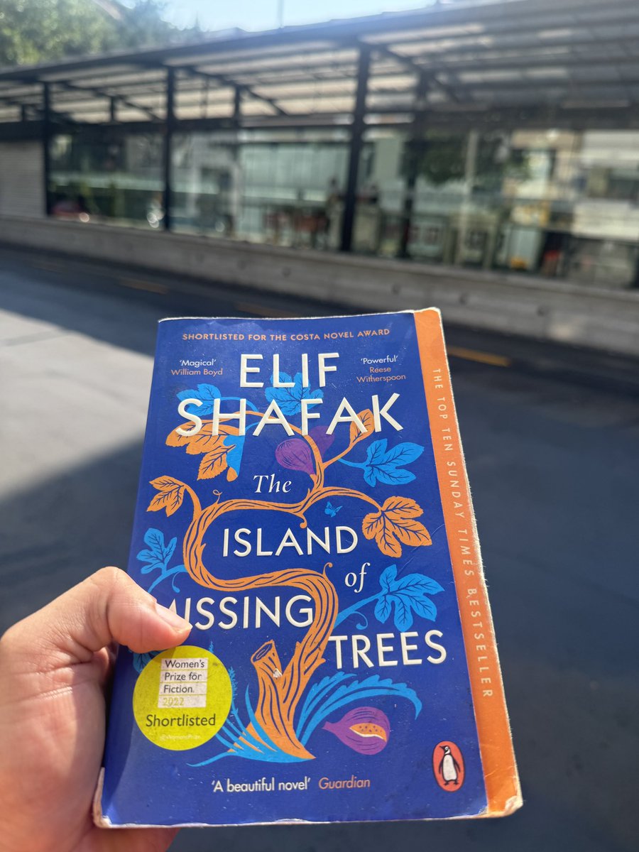 JCelForestal tweet media