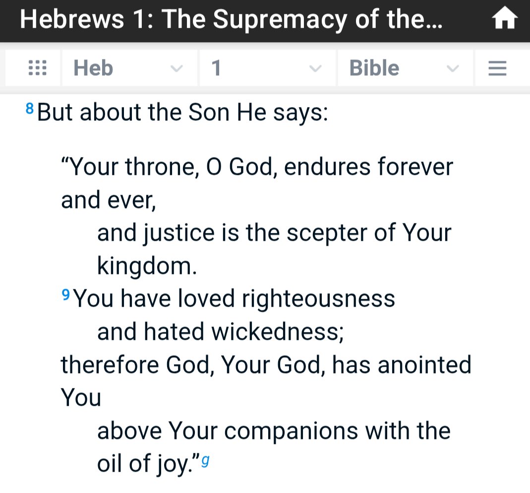 noah survived tweet media