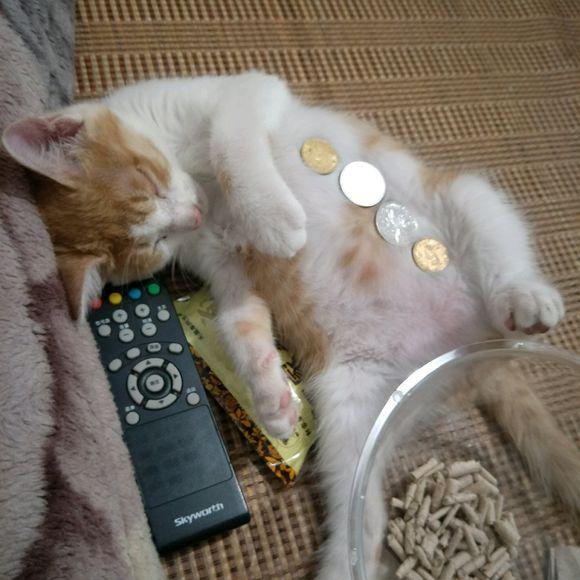 Blinda Hritz tweet media