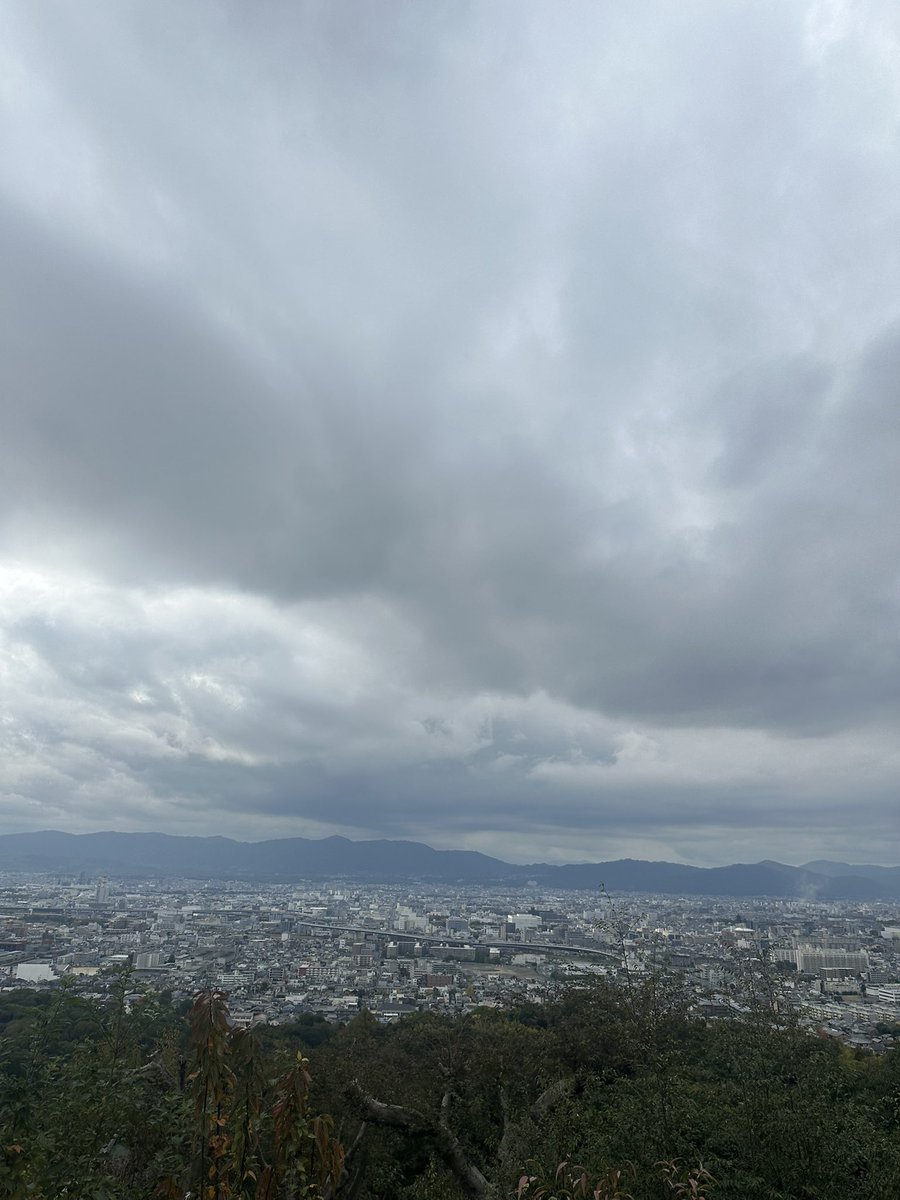 藤井 凌🐕🕊 tweet media