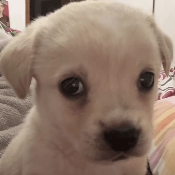 namm ⋆˚࿔ tweet media