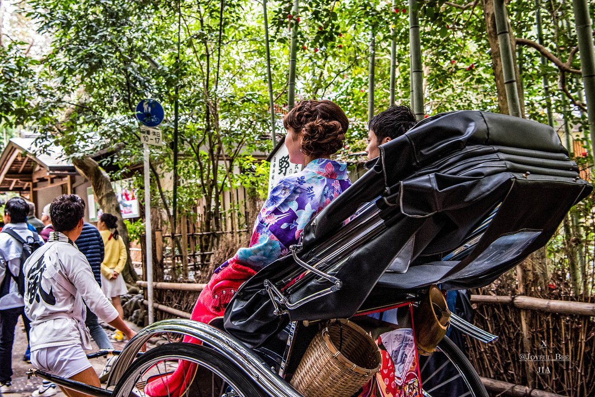 지아_thetraveller tweet media