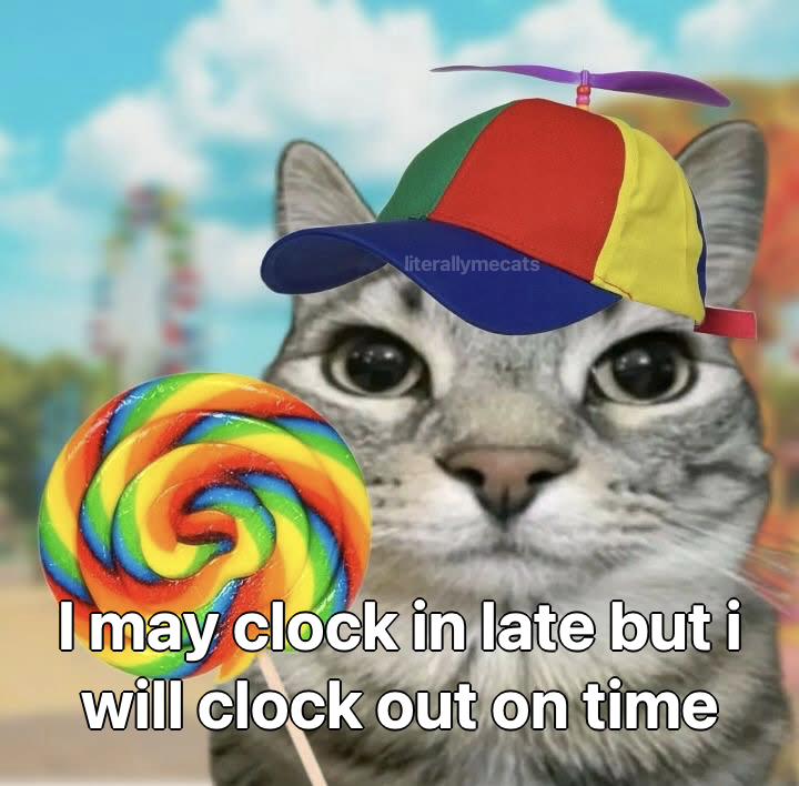 LiterallyMeCats tweet media