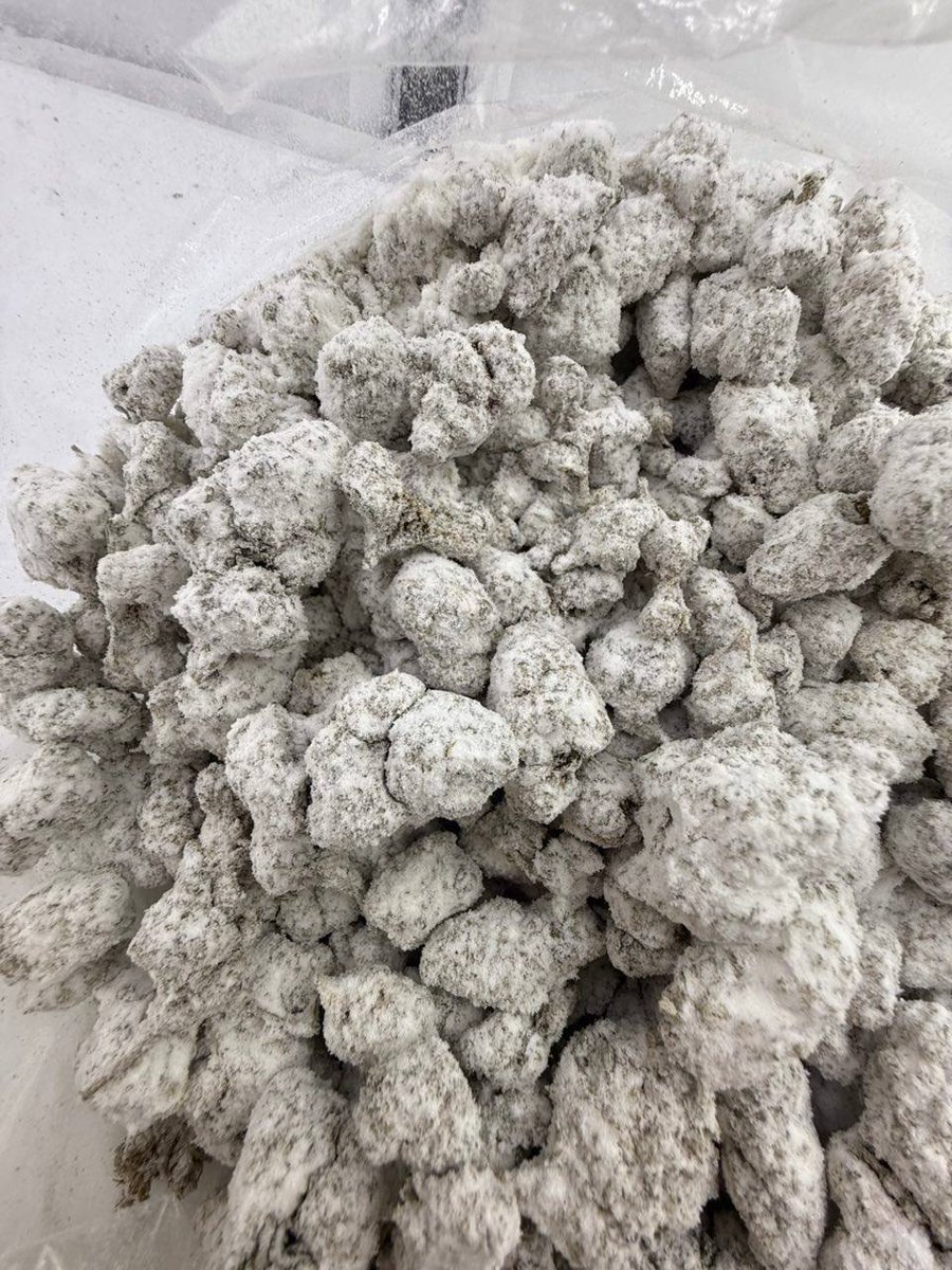 manchester85123's tweet image. Are you a lover of snow caps ?? 
Whos around  Kentucky  Louisville Bloomington Daytona Cincinnati Cleveland Lexington Columbus Pittsburgh #weed #Rosin #mmemberville #cannabis #weedporn #Dallasplug #Dtx