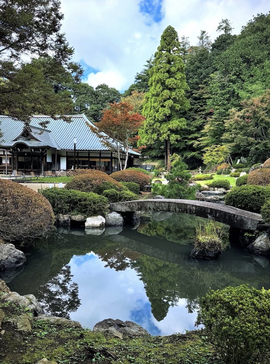 voshans's tweet image. Ochtend in #Tokyo, #Japan…

#fotografie #photography 
#travel #travelphotography 
#landscape #landscapephotography
#natuur #nature #naturephotography 
#lentekriebels #springtime #garden 
#tuin #Japansetuin #Japanesegarden
#groen #green #lente #spring
