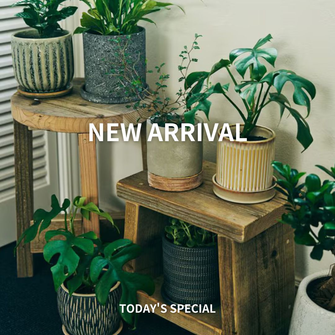 _todaysspecial_'s tweet image. 新作商品が続々入荷              

毎日使うアイテムだからこそ 機能性、デザインともにこだわってみては。 日々の生活が便利で楽しくなる新作商品が多数入荷いたしました。    

zozo.jp/shop/cibone/?p…

#todaysspecial #トゥデイズスペシャル #NEWARRIVAL #新作入荷 #ZOZOTOWN