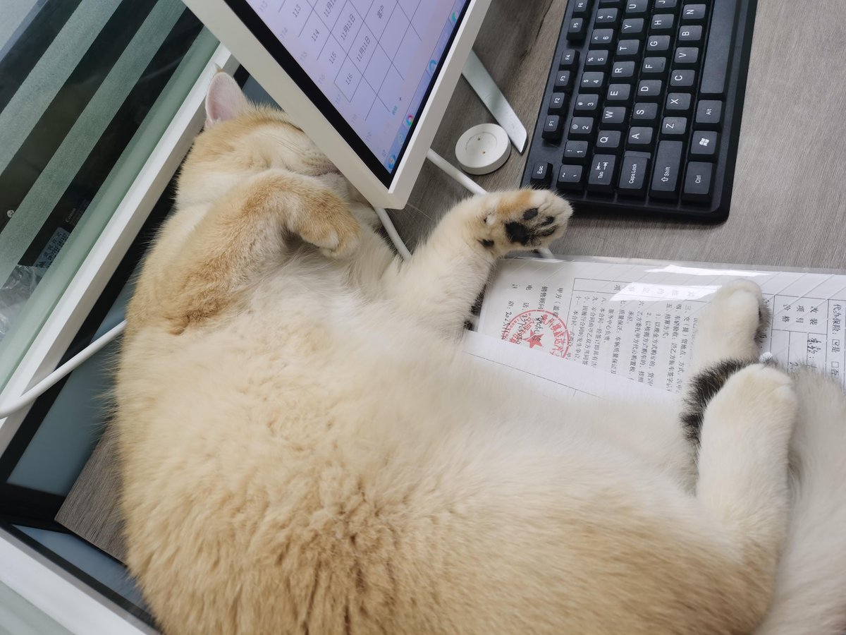 LEANDRO RIBEIRO tweet media