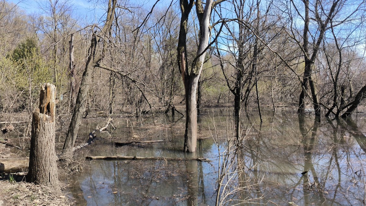 Alex Potapov 🇨🇦 tweet media