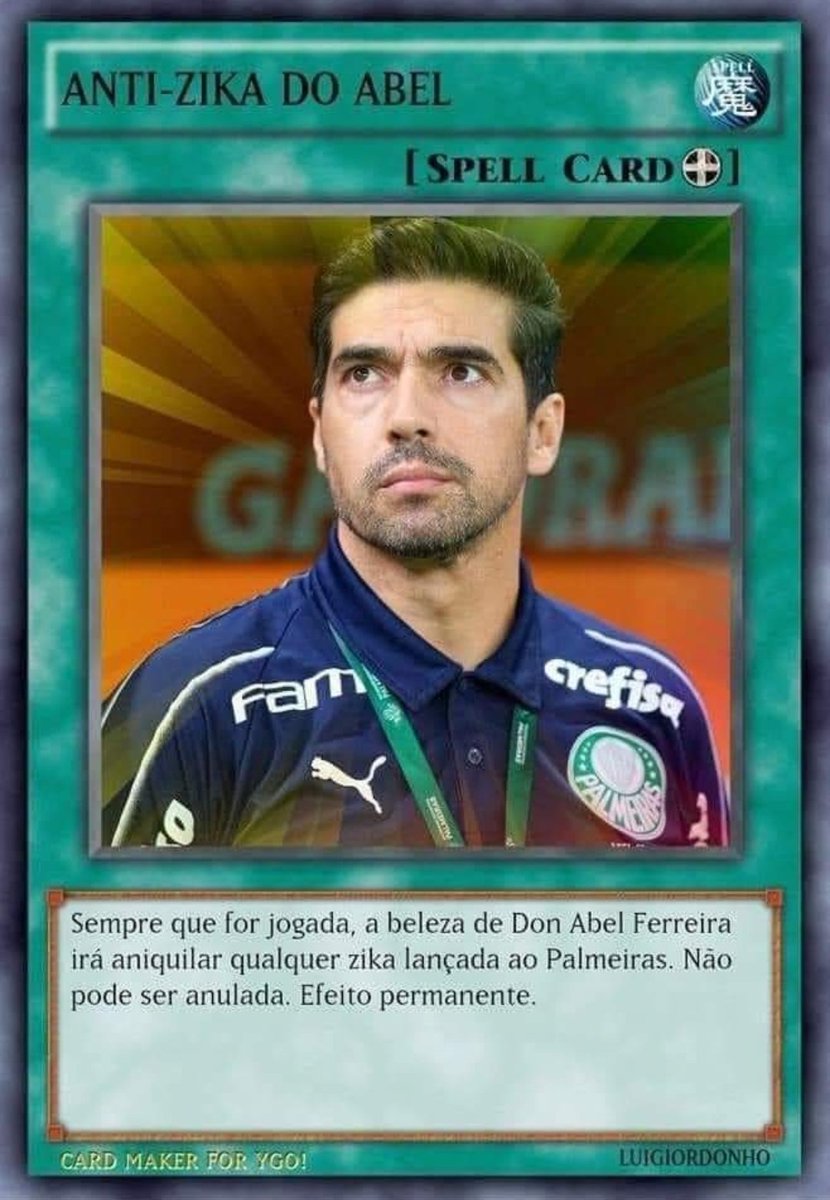 Sérgio Ricardo 💚🤍❤️🐷 tweet media