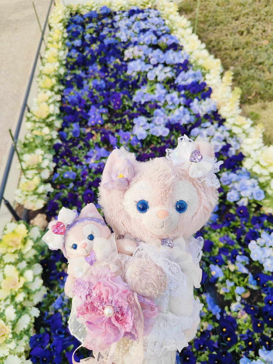 pinkrosebelle's tweet photo. @blessed_girrrrl Wow, I was captivated by the charming photos of the lavender🪻💜
and the beautiful💜
elegant woman👗💜
This photo💜
(✿ ♡‿♡)🪻💜#ℒℴѵℯ💜
#BeautifulPost
Thank you as always (๑◕◡◕๑)ღ 💜
my kind and precious friend, Emma🌸💜(/^-^(^ ^*)/💜 https://t.co/MBHQH1GvF9