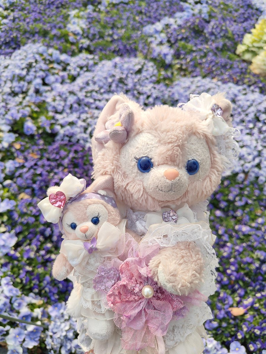 pinkrosebelle's tweet photo. @blessed_girrrrl Wow, I was captivated by the charming photos of the lavender🪻💜
and the beautiful💜
elegant woman👗💜
This photo💜
(✿ ♡‿♡)🪻💜#ℒℴѵℯ💜
#BeautifulPost
Thank you as always (๑◕◡◕๑)ღ 💜
my kind and precious friend, Emma🌸💜(/^-^(^ ^*)/💜 https://t.co/MBHQH1GvF9