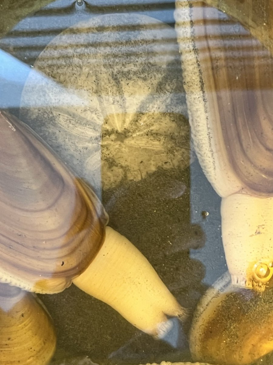 Vince Tagliavia tweet media