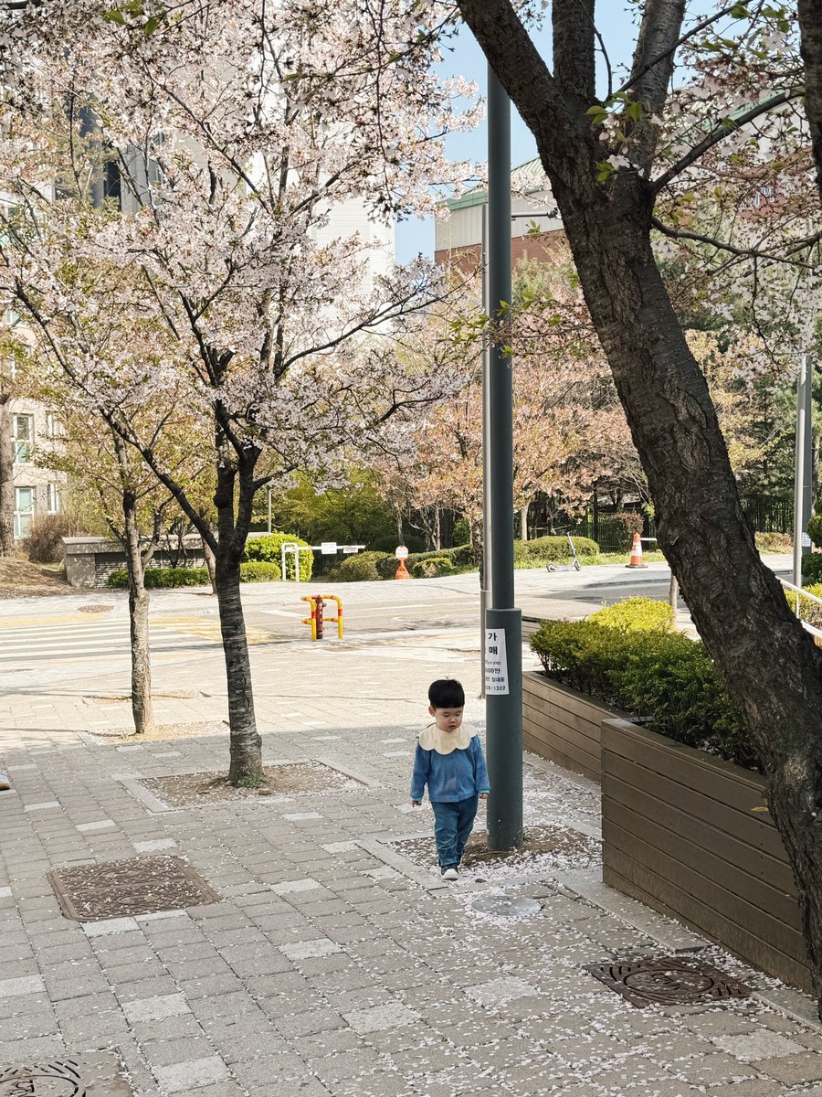 Korea Lens tweet media