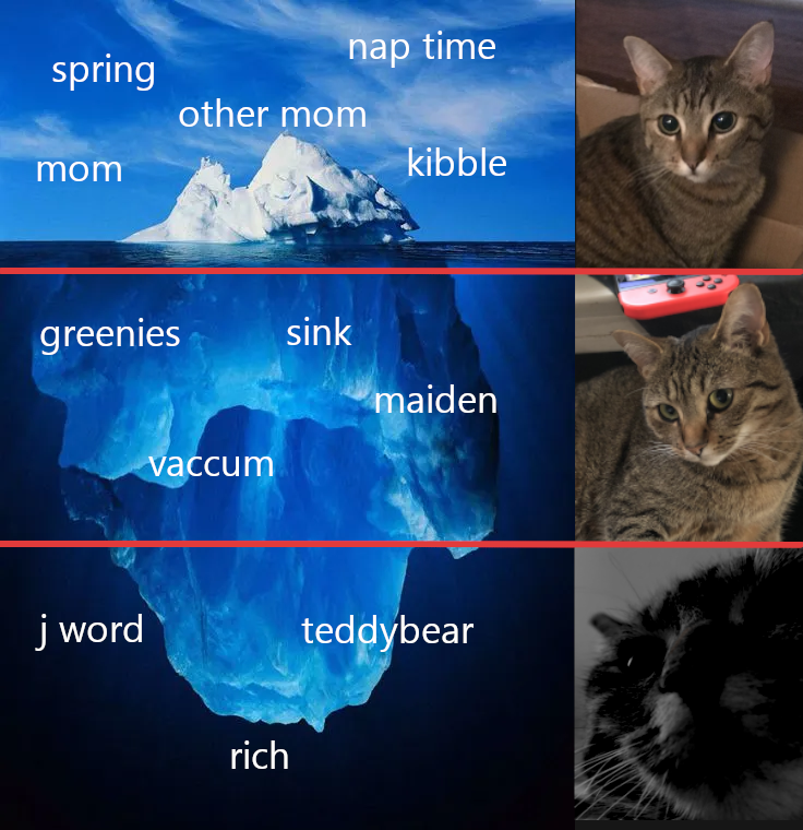 peebnute's tweet photo. got bored so i made an iceberg chart for my cat (from her perspective) https://t.co/WlIgaPegVv