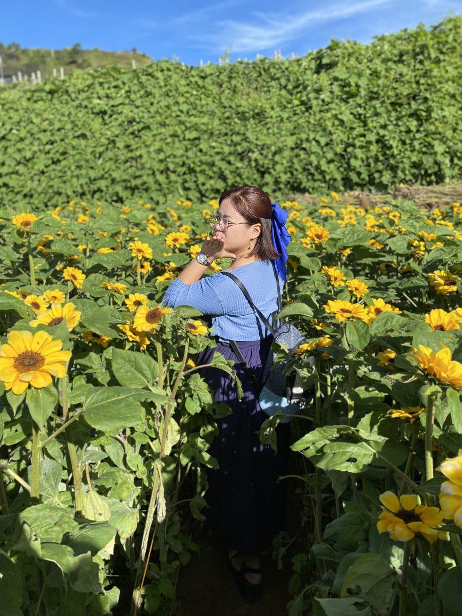 𝕔𝕠𝕝𝕖𝕫𝕫 𝟚.𝟘 🌻 tweet media