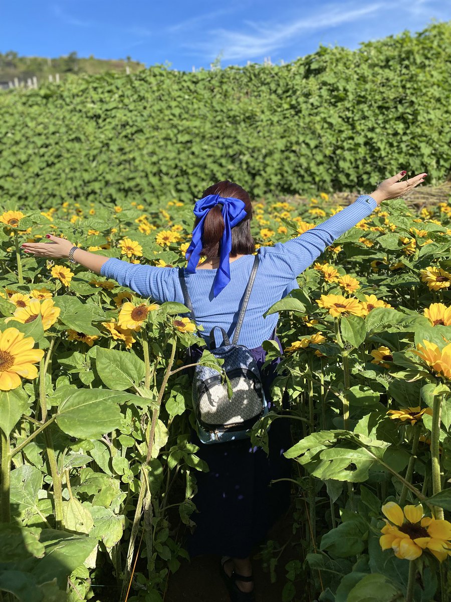 𝕔𝕠𝕝𝕖𝕫𝕫 𝟚.𝟘 🌻 tweet media