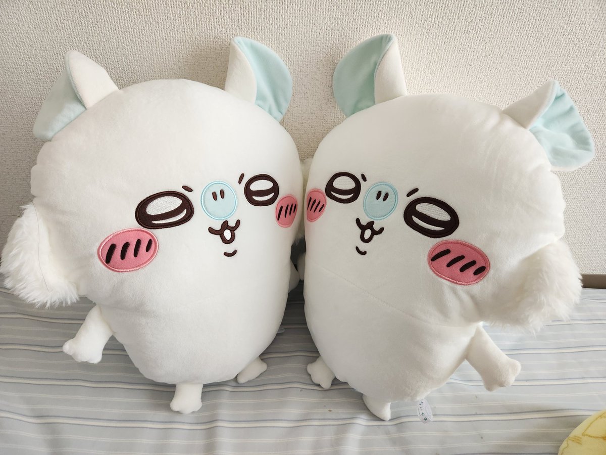 ヤハちゃん꒰՞o̴̶̷̤ᾥo̴̶̷̤՞꒱ tweet media